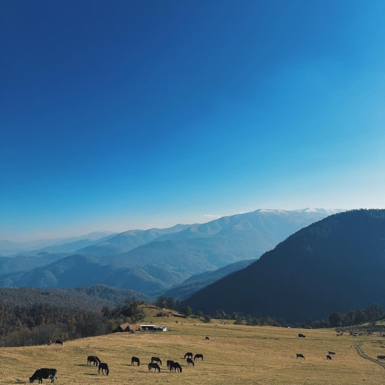 Go To Dili Dilijan Armenia indiaarmeniatravels 12 768x768