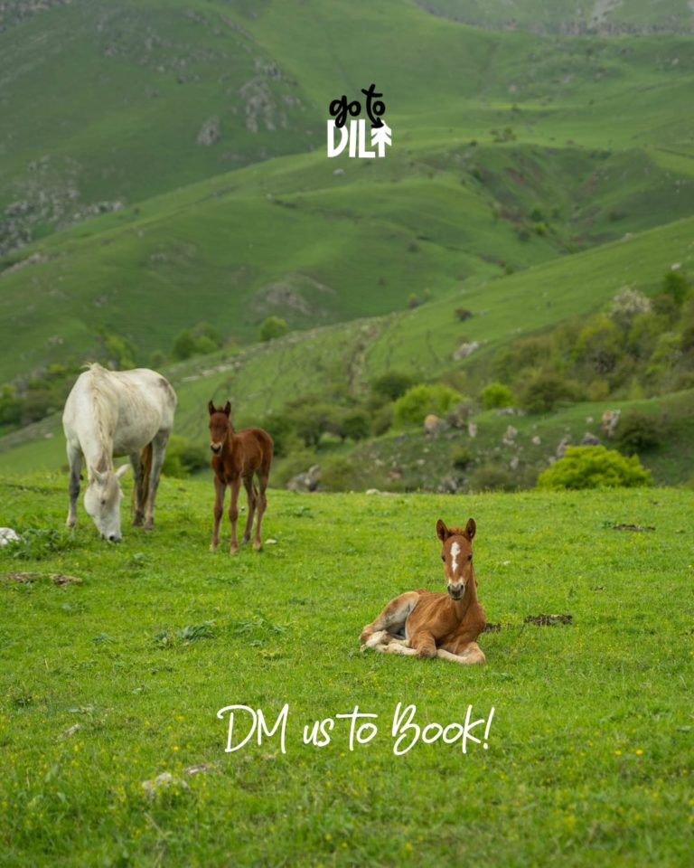 Go To Dili Dilijan Armenia indiaarmeniatravels 4 768x960