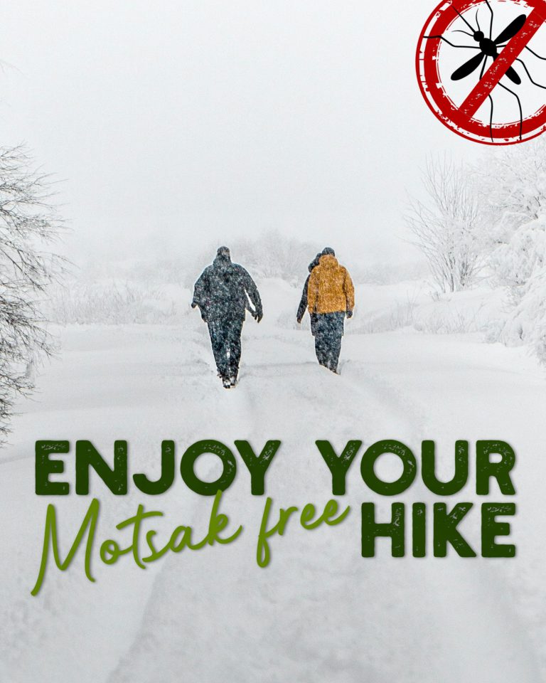 HIKEArmenia Yerevan Armenia indiaarmeniatravels 9 768x960